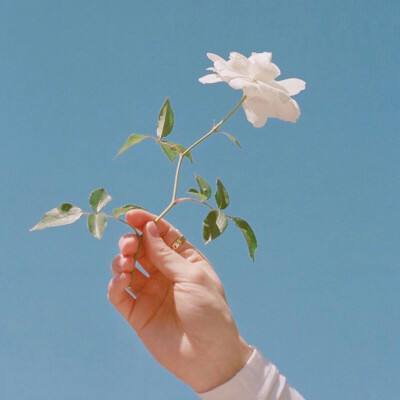 王者传奇手游9665版下载