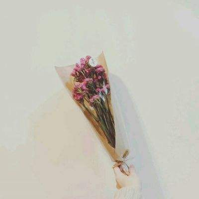 请叫我女王百度版下载