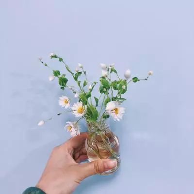 梦幻花园2.1.0圣诞节版下载